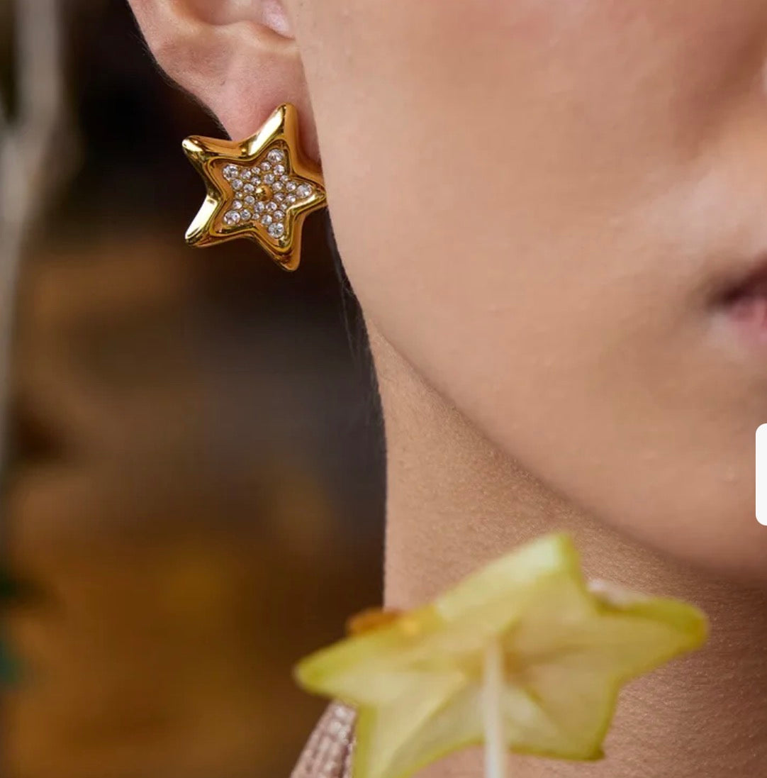 Texas Star Earrings